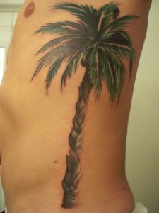 Palm Tree Tattoos on Side