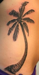Palm Trees Tattoos