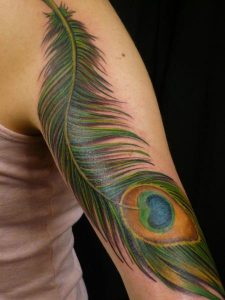 Peacock Feather Arm Tattoo