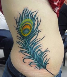 Peacock Feather Tattoo Designs
