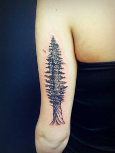 Pine Tree Arm Tattoo