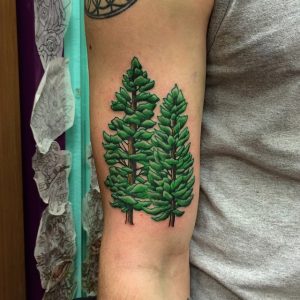 Pine Tree Tattoo Images