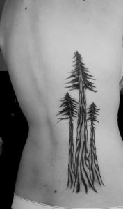 Pine Tree Tattoo Ribs