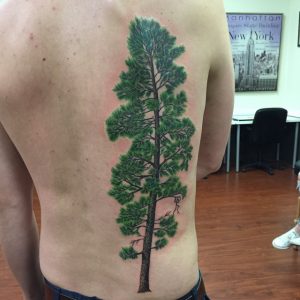 Pine Trees Tattoo