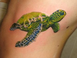 Sea Turtle Tattoos