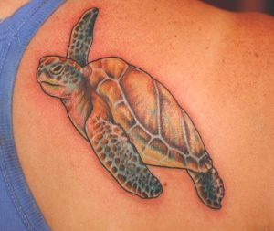 Sea Turtle Tattoos Shoulder