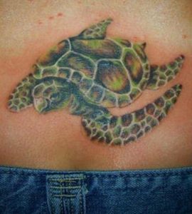 Sea Turtle Tattoos for Women