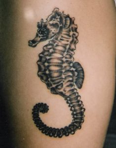 Seahorse Tattoo