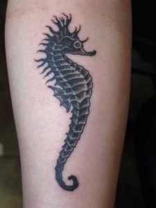 Seahorse Tattoo Images