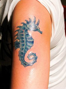 Seahorse Tattoo Pictures