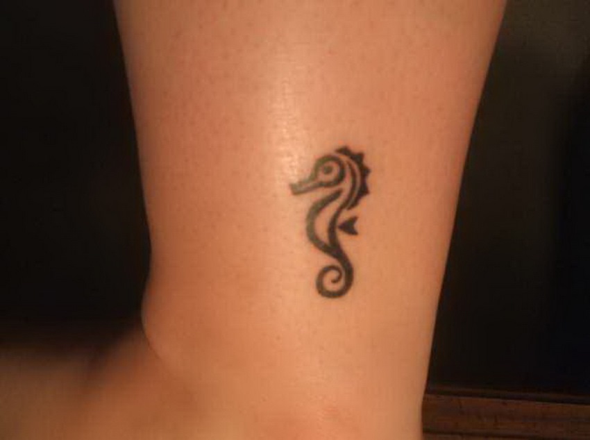 Seahorse Tattoos Designs, Ideas and Meaning Tattoos For You