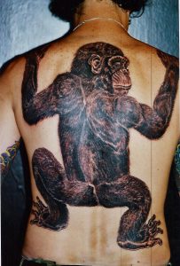 Tattoo Monkey