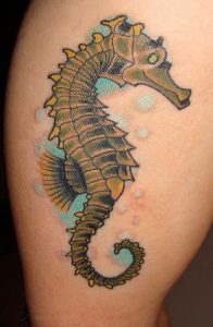 Tattoo Seahorse
