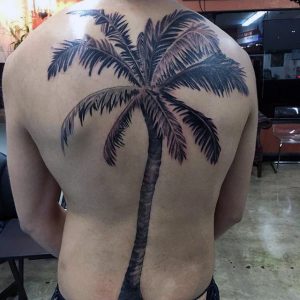 Tattoo of Palm Tree