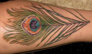 Tattoos of Peacock Feathers