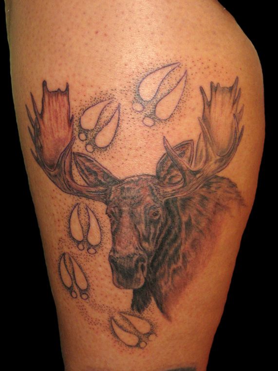 Moose Tattoos Designs, Ideas and Meaning | Tattoos For You