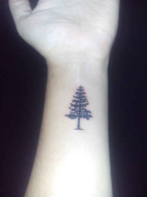 Pine Tree Tattoos Designs, Ideas and Meaning | Tattoos For You