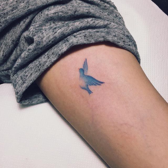 Bluebird Tattoos Designs, Ideas and Meaning - Tattoos For You