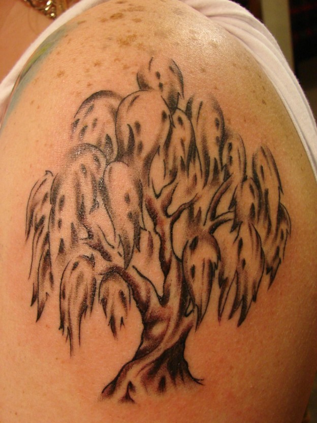 Weeping Willow Tattoo Designs, Ideas and Meaning | Tattoos For You