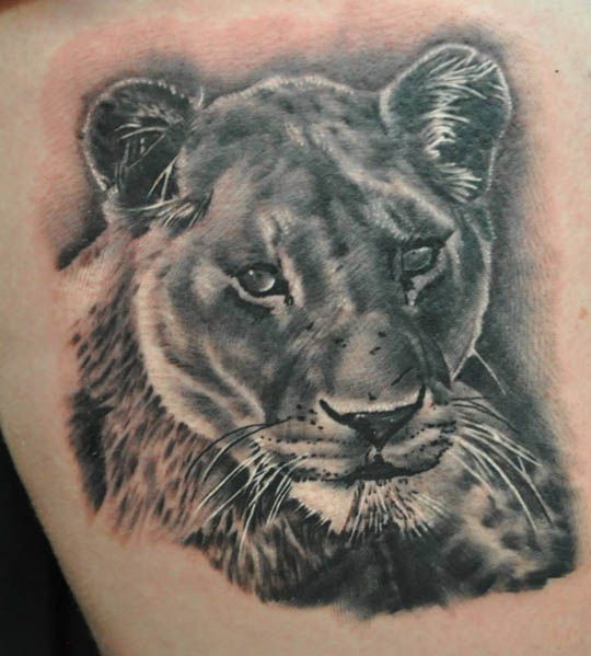 Lioness Tattoo Designs, Ideas and Meaning | Tattoos For You