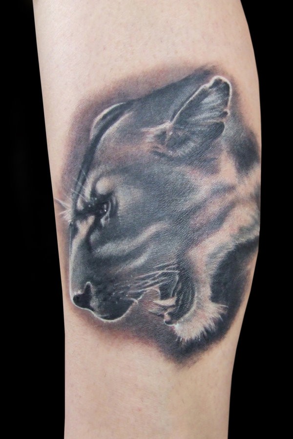 Lioness Tattoo Designs, Ideas and Meaning | Tattoos For You