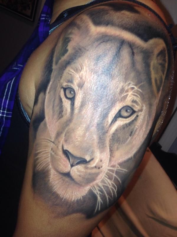 Lioness Tattoo Designs, Ideas and Meaning | Tattoos For You