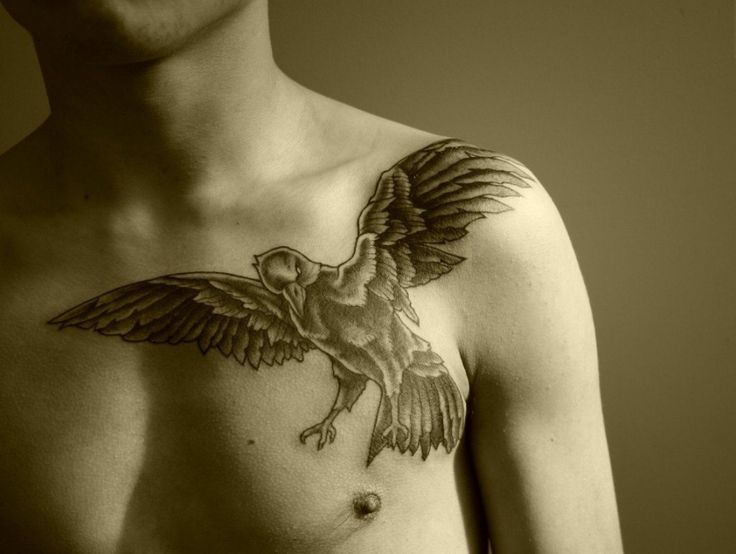 Bird Tattoos for Men Designs, Ideas and Meaning - Tattoos For You